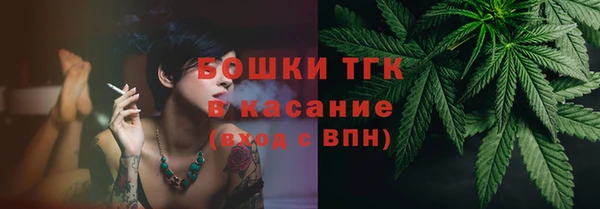 прущие грибы Алексин