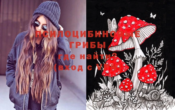 apvp Абаза